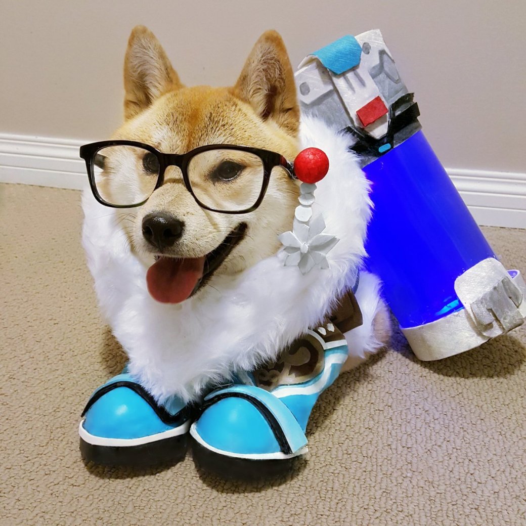 Сногсшибательный собакосплей Overwatch . - Изображение 9 Сногсшибательный собакосплей Overwatch . - Изображение 9