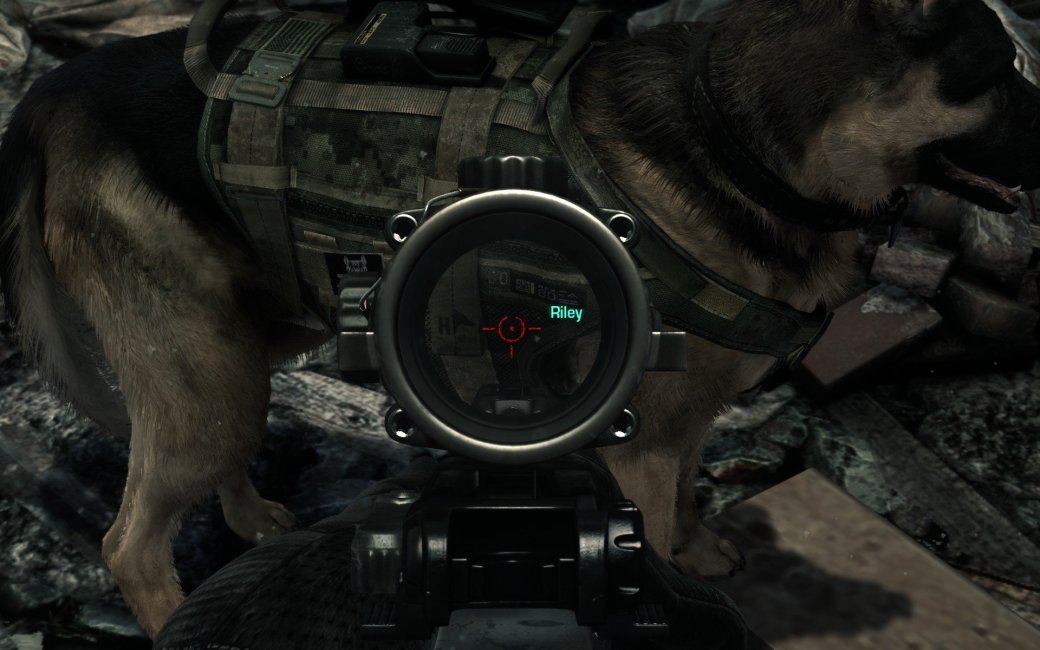 В Call of Duty: Ghosts для PC появилась шерсть нового поколения
- Изображение 1 В Call of Duty: Ghosts для PC появилась шерсть нового поколения
- Изображение 1