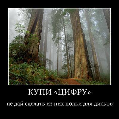 Клуб Shop.оglиков. Встреча #3 - Изображение 20 Клуб Shop.оglиков. Встреча #3 - Изображение 20