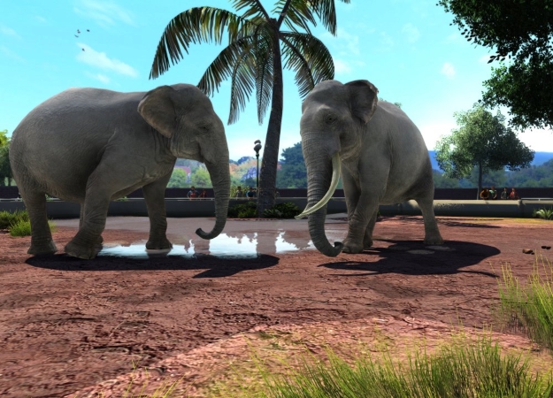 Хакеры взломали защиту Windows 10 UWP. В Zoo Tycoon Ultimate Animal Collection нашли 5 (!) слоев DRM